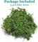 Fake Moss for Centerpieces Decor, Aftificial Green Moss for Plant Crafts Flower, 3.5oz
